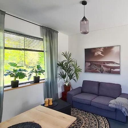 Studio Tussen De Bossen En De Bollenvelden Noordwijkerhout Esterno foto