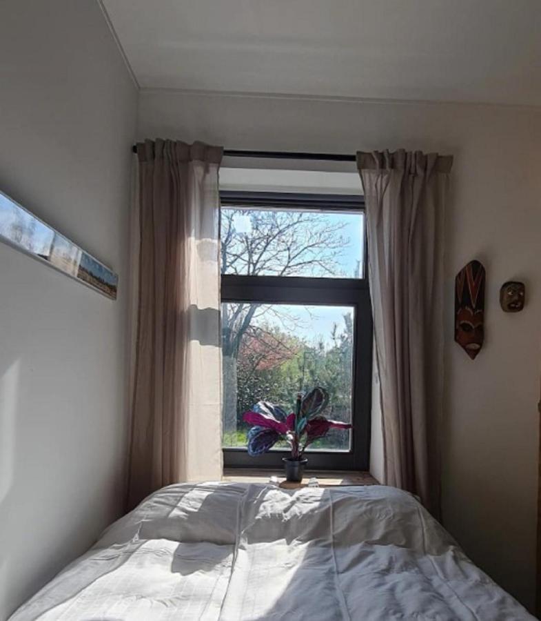 Studio Tussen De Bossen En De Bollenvelden Noordwijkerhout Esterno foto